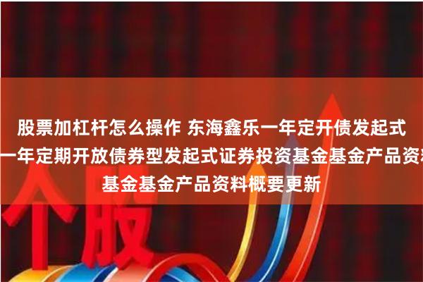 股票加杠杆怎么操作 东海鑫乐一年定开债发起式: 东海鑫乐一年定期开放债券型发起式证券投资基金基金产品资料概要更新