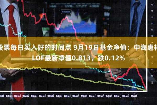 股票每日买入好的时间点 9月19日基金净值：中海惠裕LOF最新净值0.813，跌0.12%