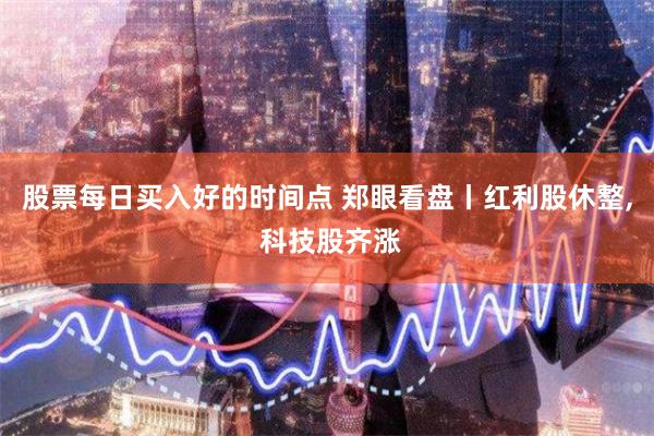 股票每日买入好的时间点 郑眼看盘丨红利股休整, 科技股齐涨
